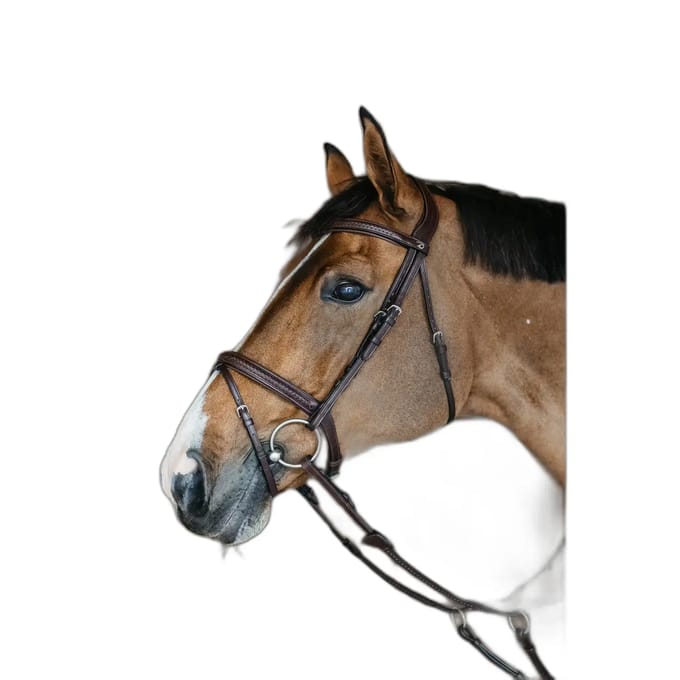 Combiné getrokken hoofdstel met neusriem Dy'on