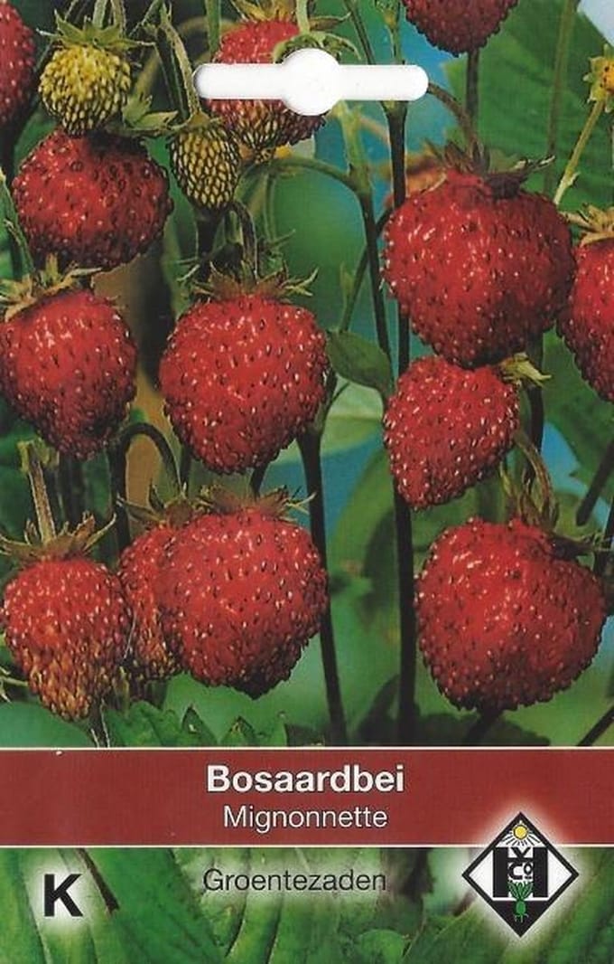 Van Hemert - Bosaardbei Mignonnette