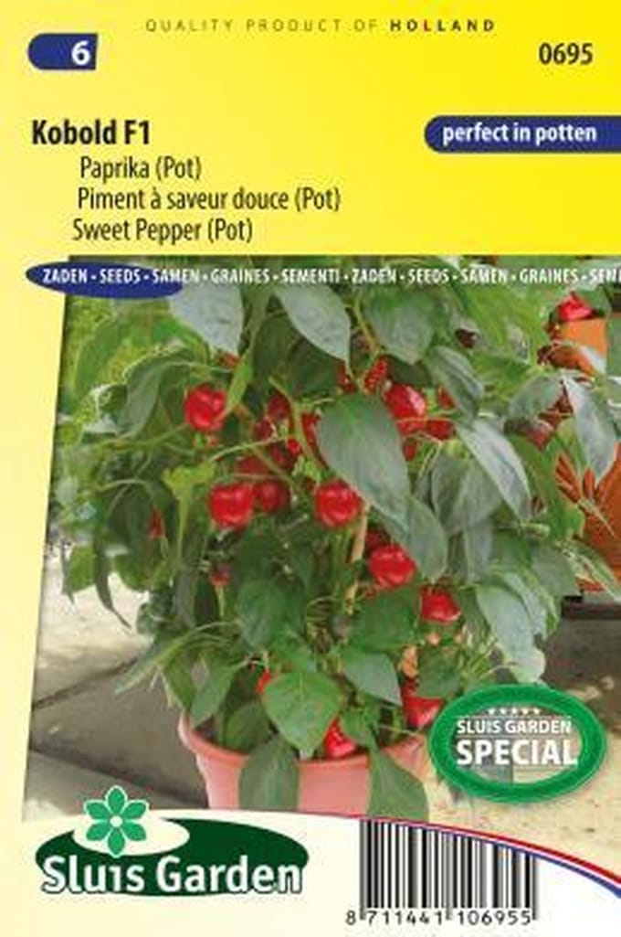 Sluis Garden Potpaprika Kobold F1