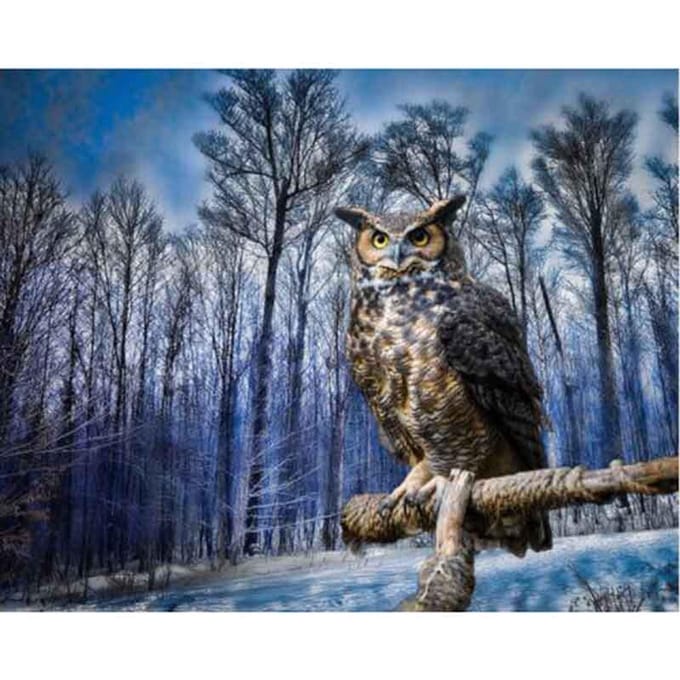 Forêt aigle diamant broderie hibou pleine résine diamant photo diamant peinture 20X30CM gray