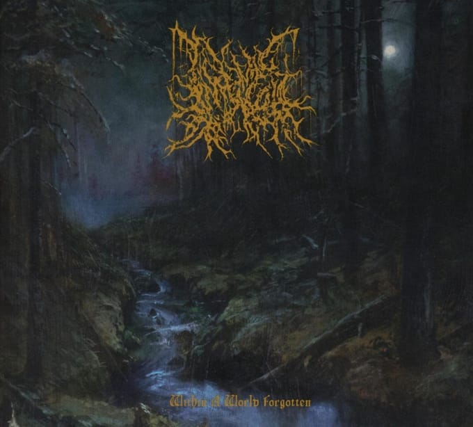 Within a World Forgotten