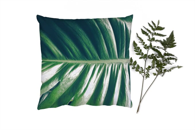 Sierkussens - Kussentjes Woonkamer - 60x60 cm - Bladeren - Tropisch - Jungle