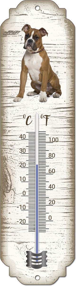 Thermometer: Boxer bruin | Hondenras | Temperatuur binnen en buiten | -25 tot +45C