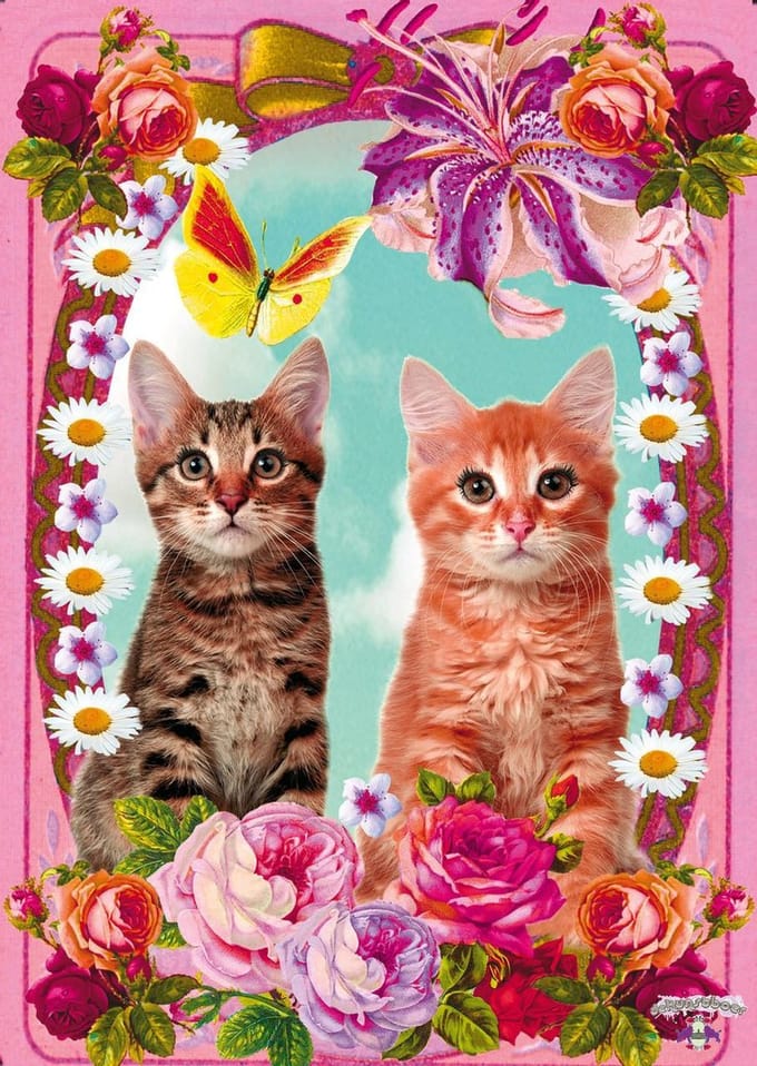Kunstboer Poster Cats Poezen poster