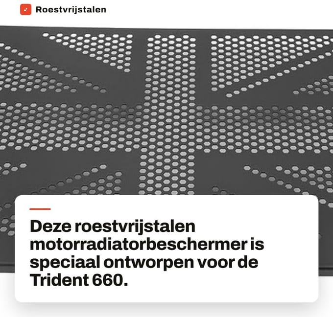 Dailygoods - Roestvrijstalen Motorradiatorbeschermer voor Trident 660