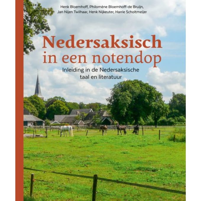 Nedersaksisch In Een Notendop - Henk Bloemhoff