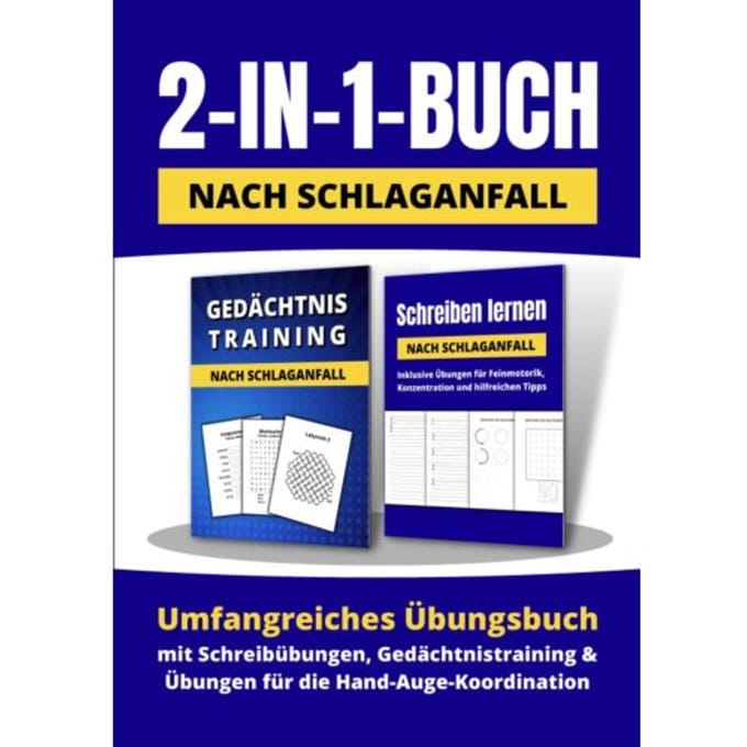 2-In-1-Buch Nach Schlaganfall: Umfangreiches - Hendrik Reiser