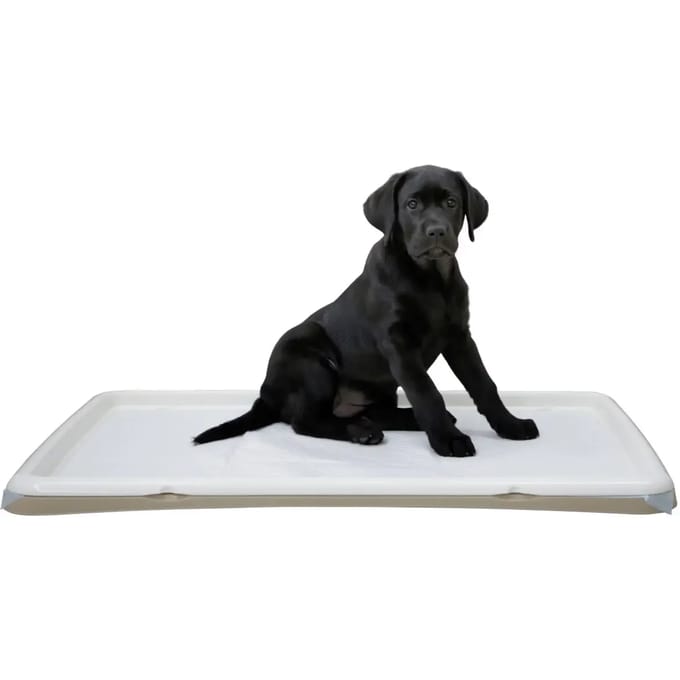 Puppy toilet Kerbl