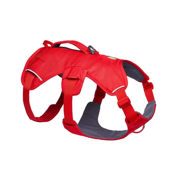 Hondentuig Ruffwear Web Master™
