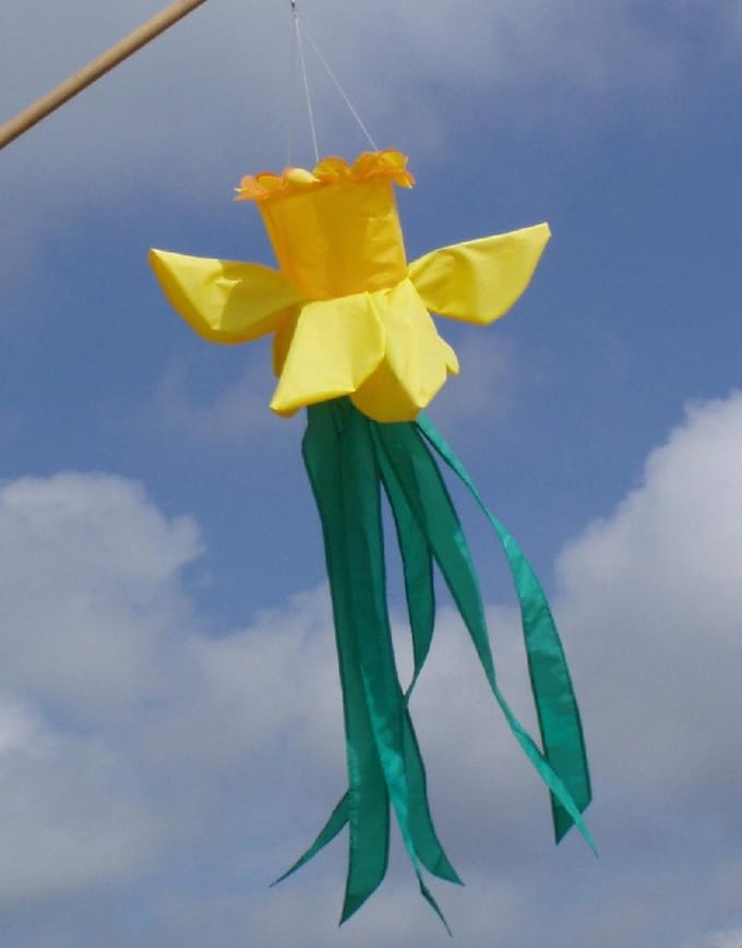 Didak Beach Windzak 3D Narcis - 100x35 cm