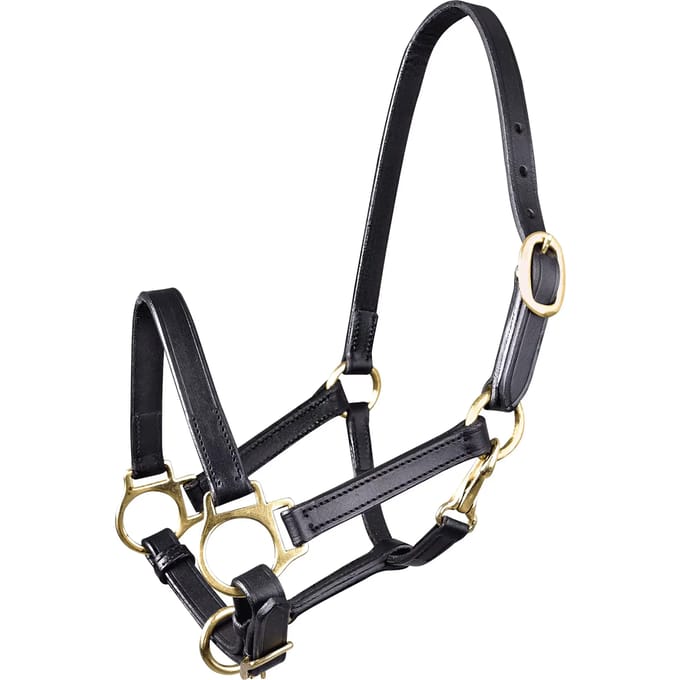 Halster voor paarden Star
