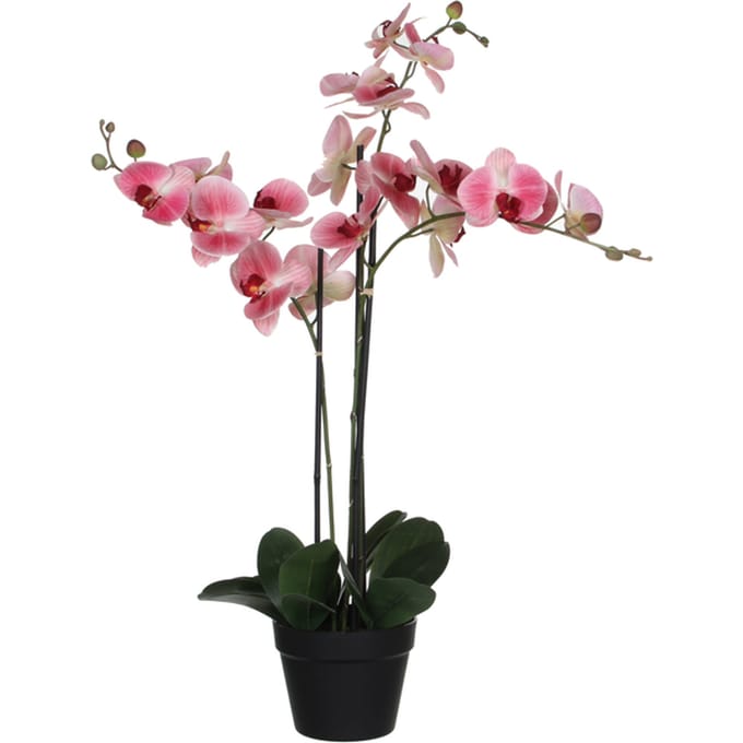 Kunstplant Mica Phalaenopsis orchideeën roze in plastic pot 79x51cm