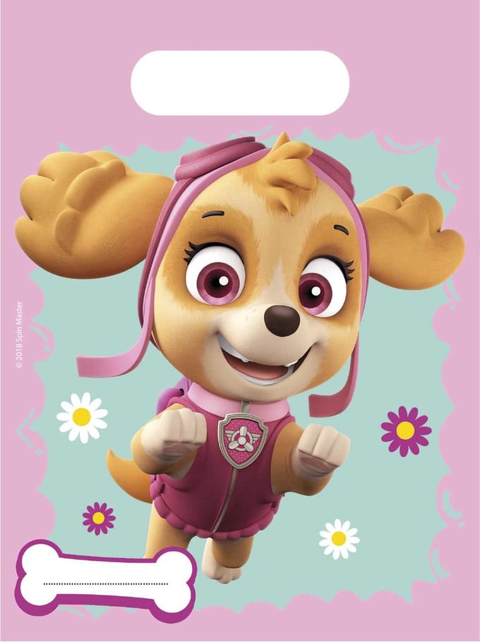 Vegaoo - 6 Stella + Everest Paw Patrol feestzakjes