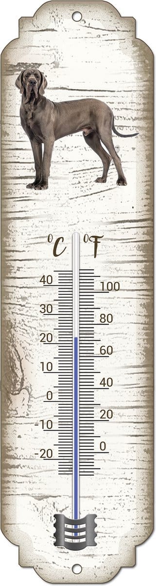 Thermometer: Deense Dog | Hondenras | Temperatuur binnen en buiten | -25 tot +45C