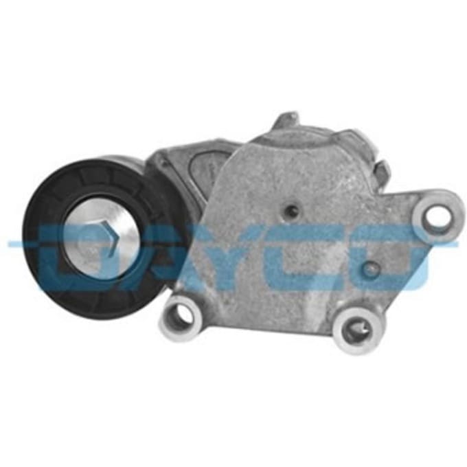 Riemspanner, Poly V-riem DAYCO APV1076