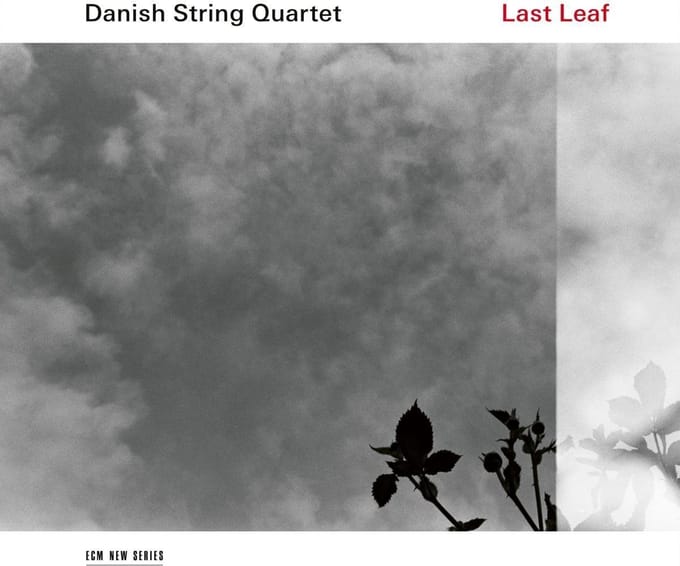 The Danish String Quartet - Last Leaf (CD)