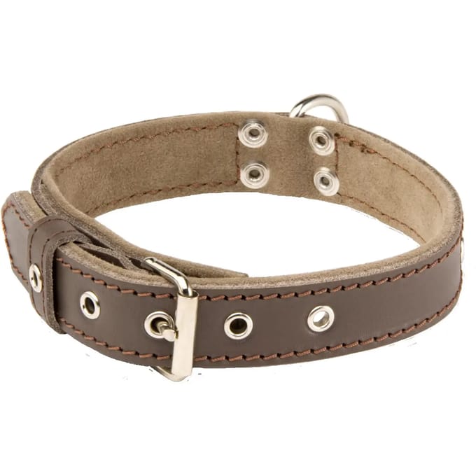 Hondenhalsband Alter Ego Sportswear