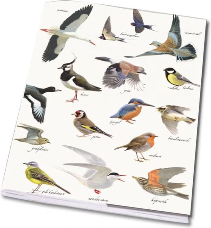Schrift A5: Collage vogels, Elwin van der Kolk, Vogelbescherming Nederland