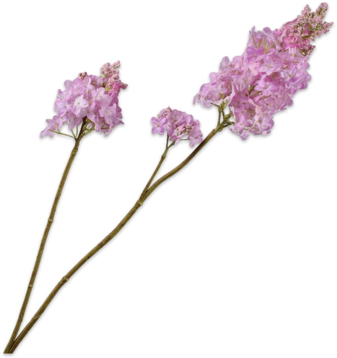Silk-ka Kunstbloem-Zijden Bloem Sering Tak Wit-Lila 110 cm