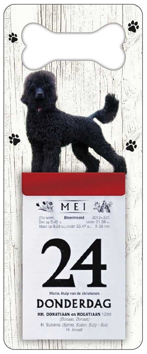 Scheurkalender 2027 Hond: Koningspoedel