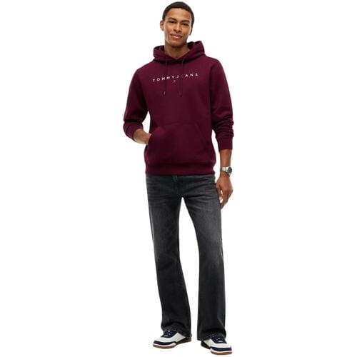 Capuchon sweaters Tommy Hilfiger TJM REG LINEAR LOGO DM0DM20746