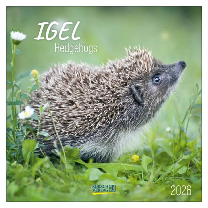 Egels - 2026