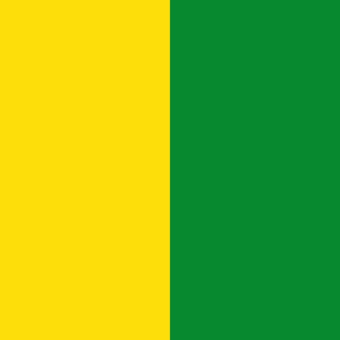 Vlag Veurne 100x150cm