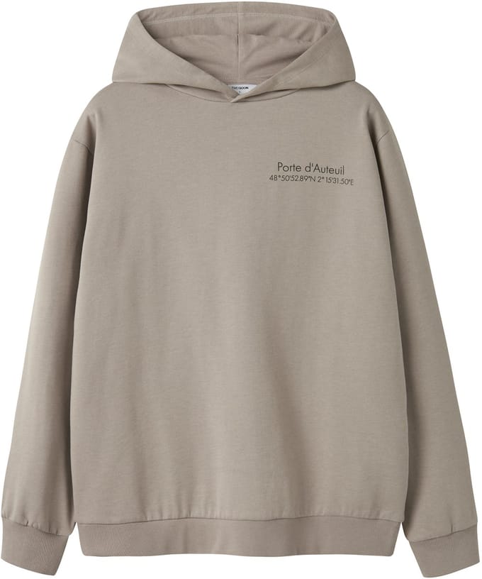 NAME IT - TAMCOX LS HOOD LOGO SWEAT BRU NOOS - Heren - Sweaters