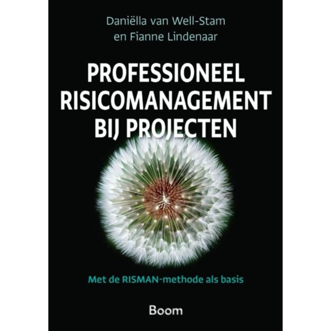 Professioneel Risicomanagement Bij Projecten - Daniella van Well-Stam