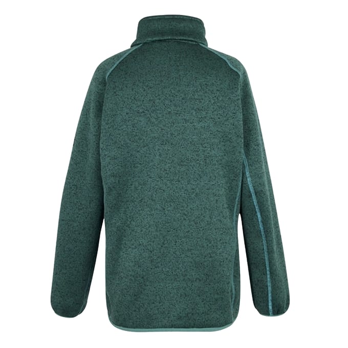 Regatta Dames/Dames Mellrey Full Zip Fleece (Sparrengroen)