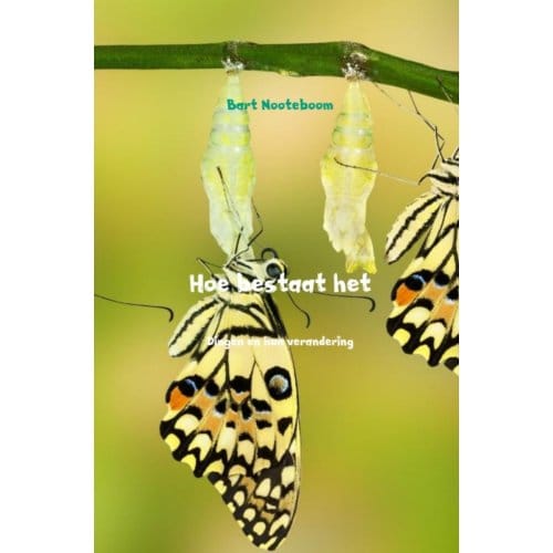 Hoe Bestaat Het - Bart Nooteboom