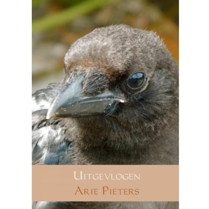 Uitgevlogen - Arie Pieters