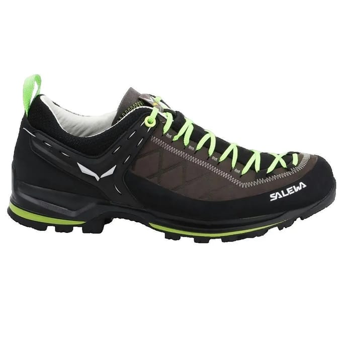 Wandelschoenen Salewa Ms Mtn 2 L