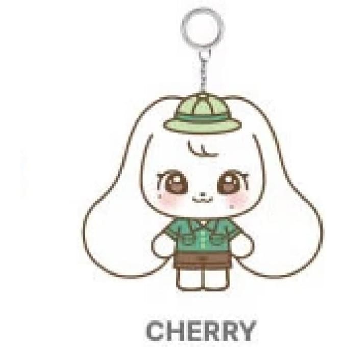 IVE COLLAB met EVERLAND - [ForEVER IVE] OFFICIEEL MD MINIVE CAST PLUCHE SLEUTELHANGER JANGWONYOUNG gray