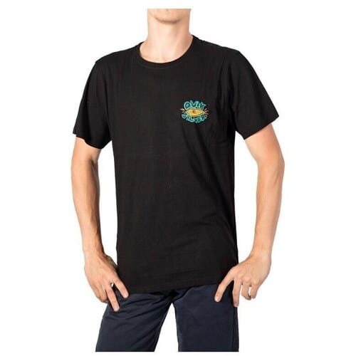 T-shirt Korte Mouw Quiksilver Visions ID