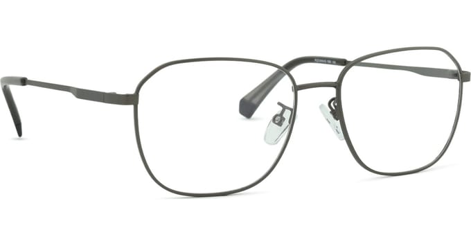 Polaroid PLD D454/G Matte dark ruthenium 54/17/145 MAN Brilmonturen
