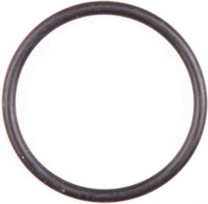 Gloria O-ring