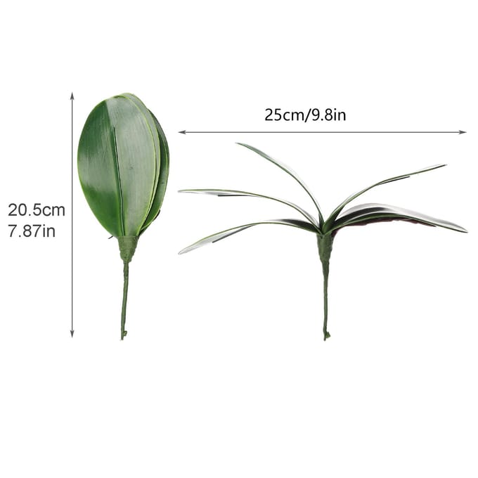 Phalaenopsis Bladeren Orchidee Bladeren Bruiloft Huisdecoratie Simulatie Planten black