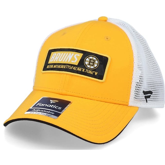 Fanatics Branded NHL Boston Bruins pet