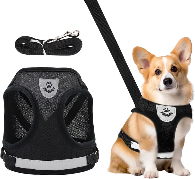 Adjustable Chest Harness - Puppy Harness and Leash Sets - Reflective Dog Harness with Leash for Small Dogs and Cats (XS)