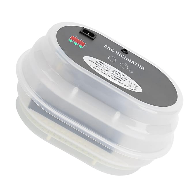 Incubateur automatique numérique pour volailles, 12 œufs, pour l'éclosion de poulets et de canards, prise britannique gray