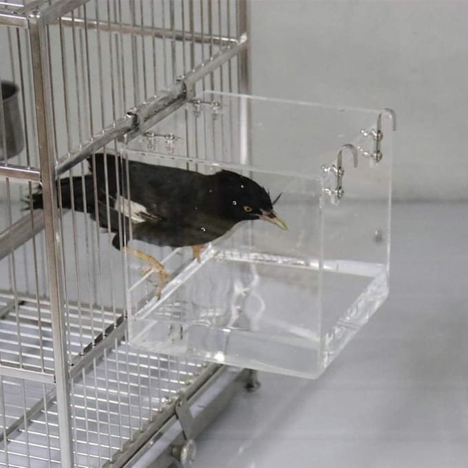 Baignoire pour Oiseaux en Acrylique Baignoire Douche Boîte Bol avec Crochets Accessoire de Cage pour Oiseaux Perroquets white