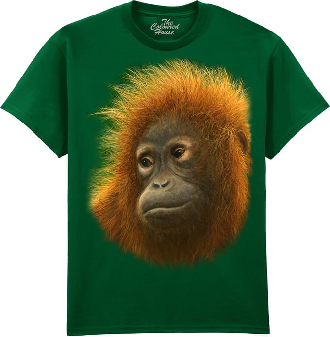 Orangoetan Fluffy Orangutan The Coloured House T-shirt M