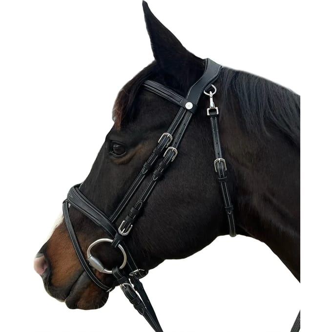 Hoofdstellen voor paarden Flags&Cup New York