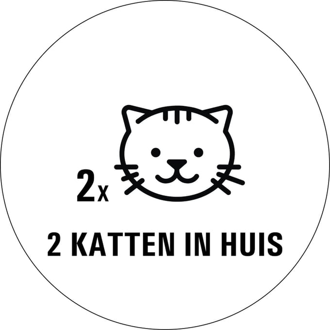 Katten in huis sticker - 80 x 80 mm 2