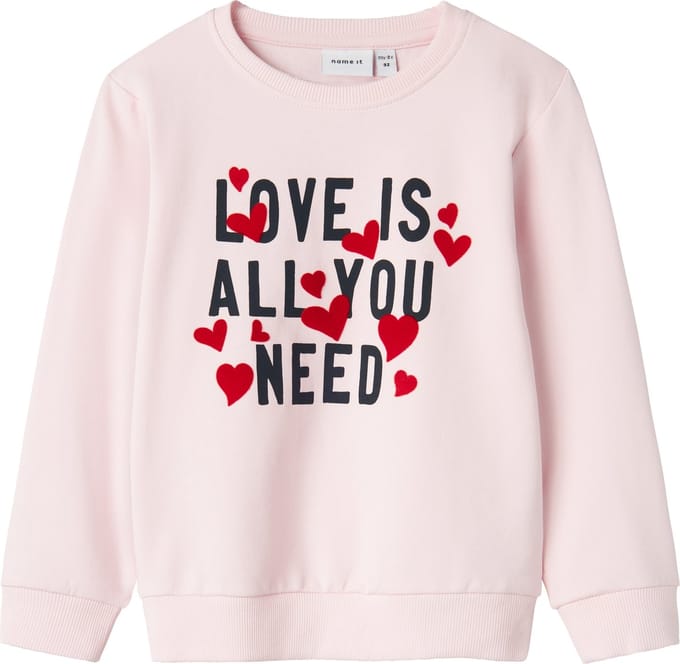 Name It mini meisjes trui DCARE Ballerina Regular Fit