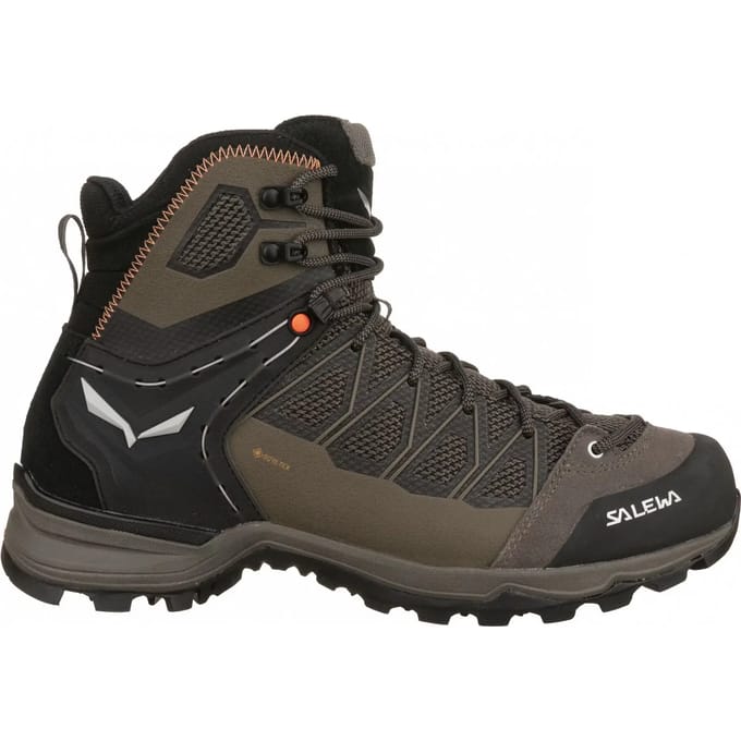 Wandelschoenen Salewa Trainer Liteid Gtx