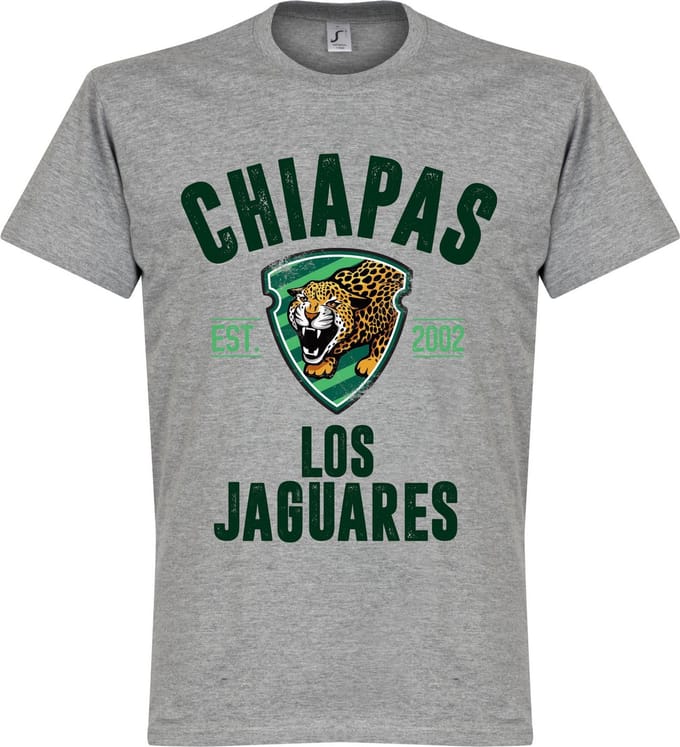 Chiapas Estabished T-Shirt - Grijs - XXXL