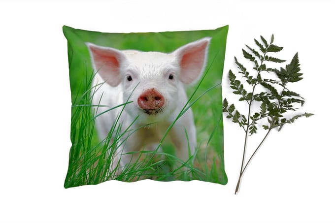 Sierkussens - Kussentjes Woonkamer - 60x60 cm - Varken - Dieren - Big