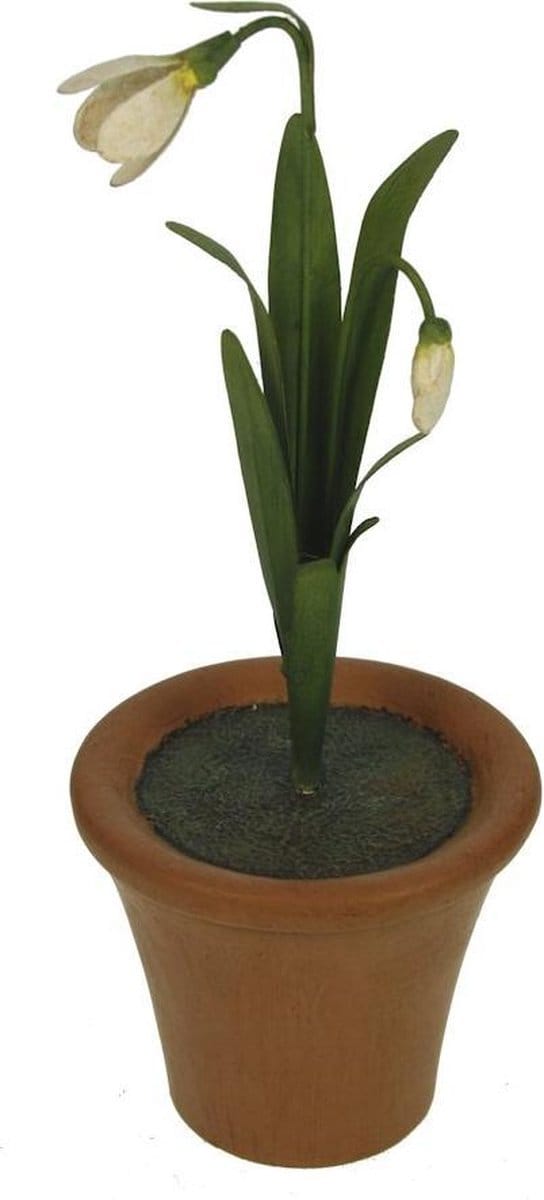 Sneeuwklokjes in pot - decoratief beeld - botanische sfeer